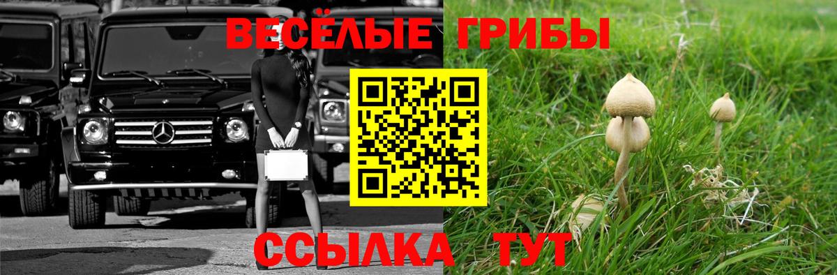 Йошкар-Ола  Псилоцибиновые грибы Cubensis  Псилоцибиновые грибы прущие грибы  Вход с VPN 